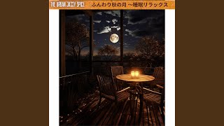 Moonlit Cafe Dreamscapes [upl. by Ahsaei]