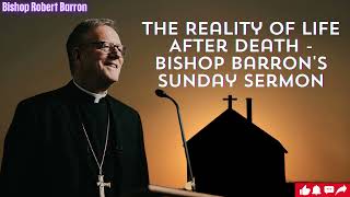 The Reality of Life After Death Bishop Barrons Sunday Sermon [upl. by Lyrpa212]