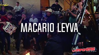 LaImponente  Macario Leyva  Musical En Vivo [upl. by Ttirrej]