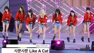 AOA 에이오에이4K 직캠사뿐사뿐 Like A Cat20161013 Rock Music [upl. by Xyno551]