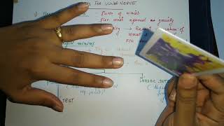 Test for ulnar nerve Card test Egawa test Froments sign Book test [upl. by Coats]