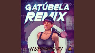 Gatubela Remix DJ Mix [upl. by Yarrum713]