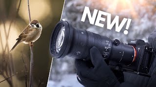 SIGMA 500mm f56 for SONY  Real World Review [upl. by Anairb]