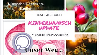 ICSI Tagebuch Ultraschall Kinderwunsch Update Vlog Teil4 künstliche Befruchtung Unser Weg diary KiWu [upl. by Enaoj]