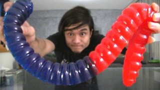 The Giant 3lb Gummy Worm DESTROYED [upl. by Ydnarb392]