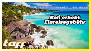 Bali erhebt ab 2024 Einreisegebühr Soviel müssen Touristen zahlen [upl. by Garnette721]