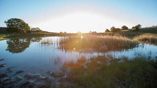 Philmont Timelapse 2017 [upl. by Chase]