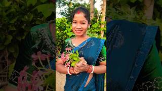 Pyaar se pyara lage nagpuriviralvideo trendingshorts shortvideos 🥀🥀 [upl. by Ivanna989]