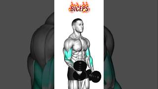 GET BIGGER BICEPS🔥💪🏻  BIG BICEPS EXERCISES  BICEPS [upl. by Adriel]