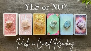 YES or NO  Timeless Pick a Card Tarot Reading [upl. by Jennings569]