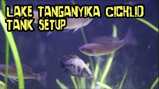 Lake Tanganyika Cichlid Tank Setup [upl. by Bittner]