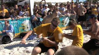 Outback Bowl Beach Day tugofwar [upl. by Mirak]