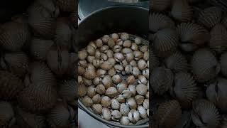 Kerang Bakar guna Air Fryer 10 minit  180 suhu [upl. by Clementia]