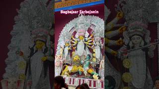 Bagbajar sarbojonin shortsfeed youtubeshorts shortsviral durgapuja2024 durgapuja pandelhopping [upl. by Pippas]