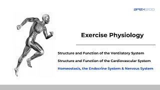 SEHS 23 Homeostasis The Endocrine System amp Nervous System [upl. by Aura]