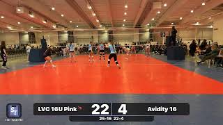 LVC 16U Pink🦩 vs Avidity 16 [upl. by Alleyn857]