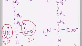 Effect of pH and pKa on Amino Acid Structure [upl. by Erbua]