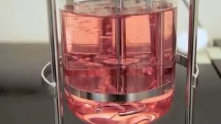 The Impact of Sparging on Cell Culture in Bioreactors – Two Minute Tuesday Video [upl. by Grochow]