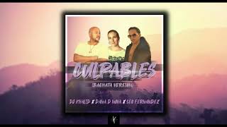 Culpables  Dj Khalid X Dana D Nova X Seo Fernandez Bachata Version [upl. by Indihar]