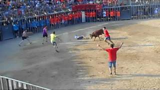 Fiestas Vacas Miami Playa  tarragona 2017 [upl. by Nanete]