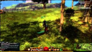 Guild Wars 2 Queensdale QuestsPoints Of Interest1 [upl. by Delmore]