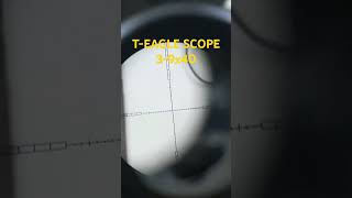 TEAGLE SCOPE 39x40 AOIR springer [upl. by Rehoptsirhc720]