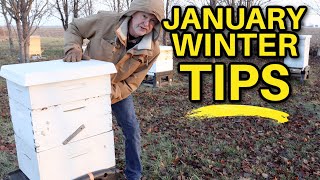 Beekeeping Tips For January Navigating Winter Challenges [upl. by Nama]