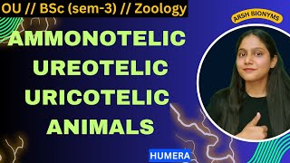 Ammonotelic  Ureotelic  Uricotelic animals  BSc Zoology sem 3  Osmania University humera [upl. by Ostler]