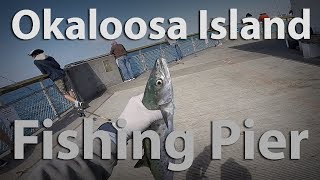 Okaloosa island pier fishing [upl. by Erleena]