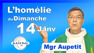 Évangile et homélie du Dimanche 14 Janvier  Avec Mgr Aupetit [upl. by Gignac642]