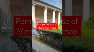 Pompeii House of Menander Fresco pompeii ancienthistory architecture art [upl. by Newfeld]