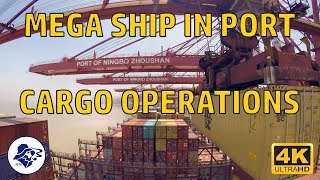 MEGA SHIP CARGO OPERATIONS  1 DAY IN PORT  NINGBO CHINA  TIME LAPSE 4K [upl. by Ysied]