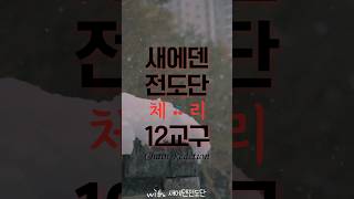 SEED2024 후반기 체인리액션 🍒12교구 협력전도🍒 [upl. by Lexy]