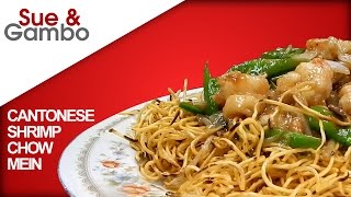 Chicken Chow Mein Recipe By Food Fusion [upl. by Neellek]