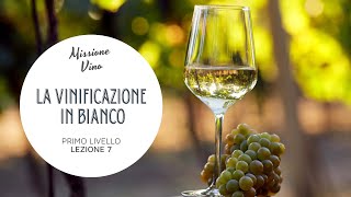 Lezione 7 Come si fa il vino bianco  La vinificazione in bianco e i vini orange [upl. by Yahsal]