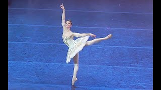 Alina Cojocaru  Dulcinea Variation Don Quixote [upl. by Carlota]