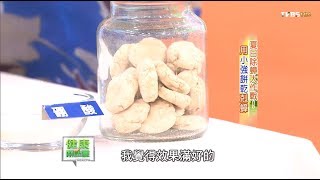 神不知鬼不覺小黑蚊，一舉殲滅有妙招！健康兩點靈完整版 [upl. by Aititel655]