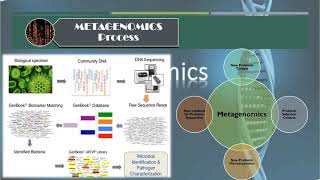 Introduction to Metagenomics [upl. by Leonanie]