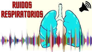 ♐ Crepitantes Sibilantes Roncus Estridor y Murmullo Vesicular Normal 🎓 Semiologia Respiratória [upl. by Liakim]