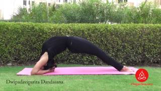 Dwi Pada Viparita Dandasana TwoLegged Inverted Staff Pose [upl. by Zosema]