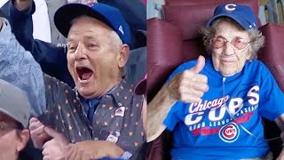 Best Cubs World Series Win Fan amp Celebrity Reactions [upl. by Schinica]