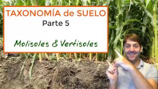 Taxonomía de suelo Parte 5  Molisoles y Vertisoles [upl. by Hannaj]