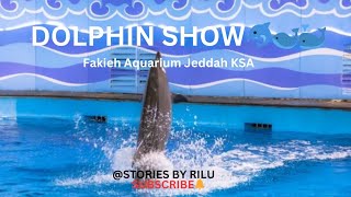 DOLPHIN SHOW🐬🐋🐳FakiehAquariumjeddahksa [upl. by Templa462]