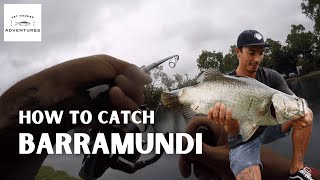 How to catch Barramundi  BARRA FUN PARK Townsville [upl. by Anilatsyrc]