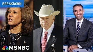 Georgia 2024 early vote smashes records as Harris hits Trump with GOP teammates [upl. by Ecyor]