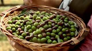 Pompeian OliveOil Commercial [upl. by Sholes]