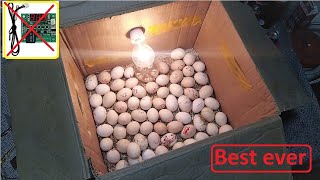 Beat idea to hatch eggs Without an temperature controller DIY HOW TO MAKE EGG INCUBATOR A HOME [upl. by Nalhsa]