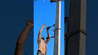 High voltage power line Jumpering Work  HT Jumper  shorts lineman electrician [upl. by Jdavie]