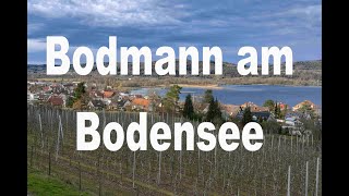 Bodman am Bodensee I Wo wir uns noch erholen können  Reisedoku [upl. by Linnet]