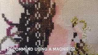 Cross Stitch 26  Part 2 Stitching skin 1 over 1 [upl. by Ecille95]